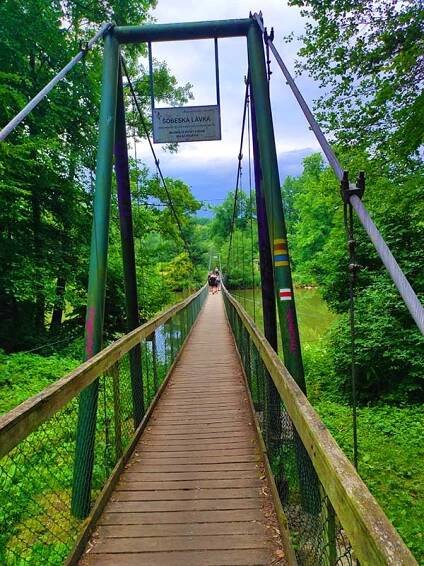 Znojmo a vinice Šobes - Cestujme společně