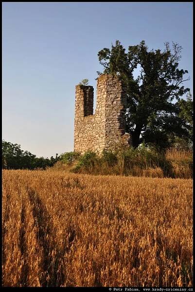 Bubovice – kaple sv. Vojtěcha – fotografie / hrady-zriceniny.cz