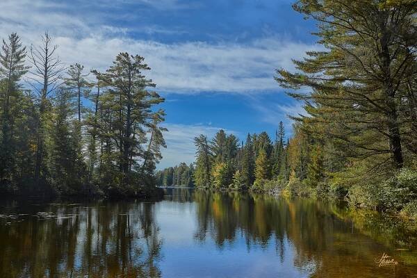 Call in the wild - John Mitchell Photography