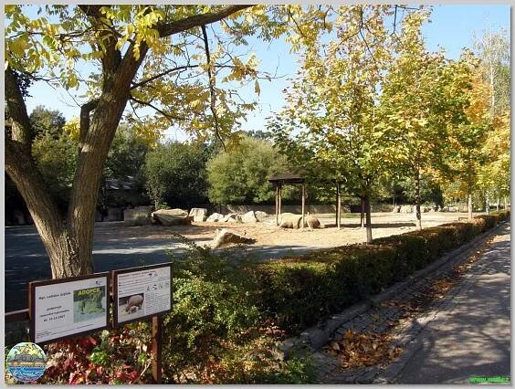Safari Park Dvůr Králové nad Labem