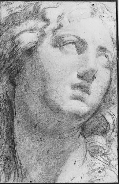 Christ in Glory with Saints and Odoardo Farnese - Wikipedia