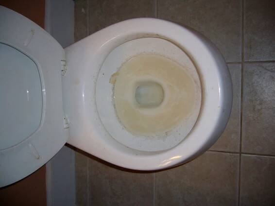 čištění WC od vodního kamene bez chemie