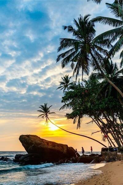 two people are standing on the beach at sunset with palm trees in the foreground
