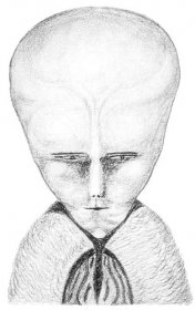 Šedý (mimozemšťan) - wiki34.com