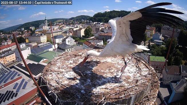 Z Trutnova do světa - Čapí hnízdo v Bohuslavicích