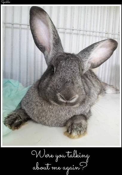 SparklesBundaySunday