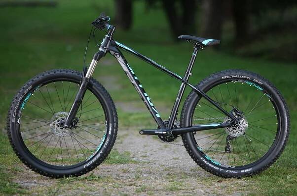 Kellys Gibon 30