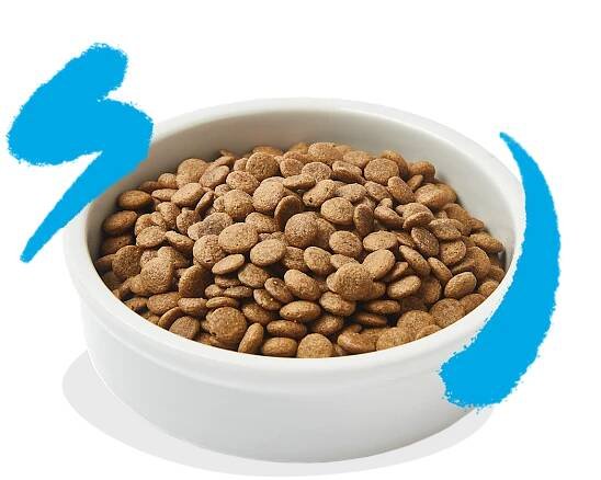 Product - Cat Adult Kibble Salmon