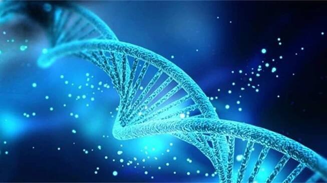 Genetika a příjmení: Unikátní možnost získat test Y-DNA zdarma a dozvědět se o svých předcích