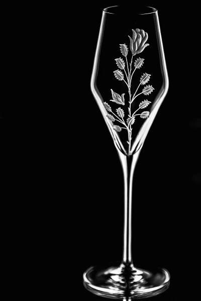 Companion | Sklenice na šampaňské a prosecco | Evpas s.r.o. 