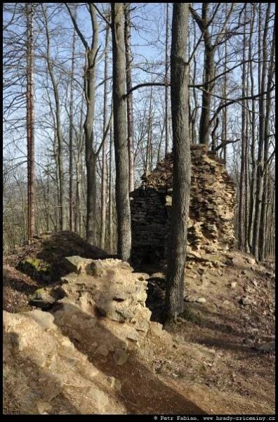 Pušperk – fotografie / hrady-zriceniny.cz