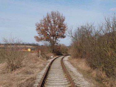 Po zrušené trati Kladno-Dubí - Zvoleněves
