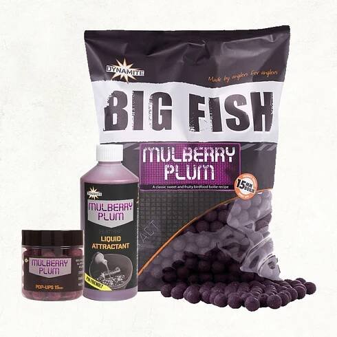 Obrázek 2 k Boilie DYNAMITE BAITS Big Fish Mulberry Plum