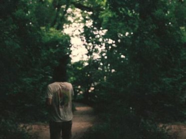 The album art for Lukie P's "Some Golden Dream" is shown. Luke Peters (Lukie P) is shown with their back to the camera to the left of the image, staring down a woodland path. The image is darker and ambient. The path is a dusty brown and the trees are green. There is a sliver of cream sky peeking out between the treelines.