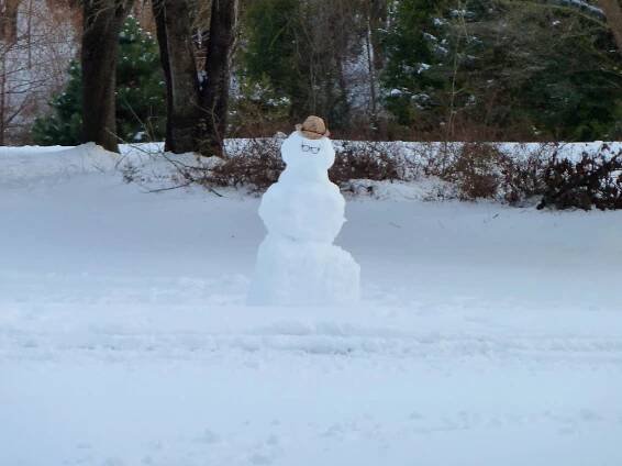 Snow Storm 2104