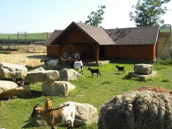 MŠ Dobruška 29.5.2018 - Farma Wenet