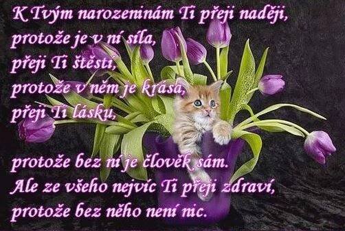 Výsledek obrázku pro přání k narozeninám | Benjamín