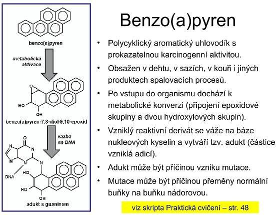 Benzo(a)pyren Polycyklický aromatický uhlovodík s prokazatelnou karcinogenní aktivitou. Obsažen v dehtu, v sazích, v kouři i jiných produktech spalovacích procesů. Po vstupu do organismu dochází k metabolické konverzi (připojení epoxidové skupiny a dvou hydroxylových skupin). Vzniklý reaktivní derivát se váže na báze nukleových kyselin a vytváří tzv. adukt (částice vzniklá adicí). Adukt může být příčinou vzniku mutace. Mutace může být příčinou přeměny normální buňky na buňku nádorovou. viz skripta Praktická cvičení – str. 48 