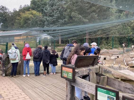 ZOO Plzeň - Oficiální stránky ZŠ a OŠ Horšovský Týn