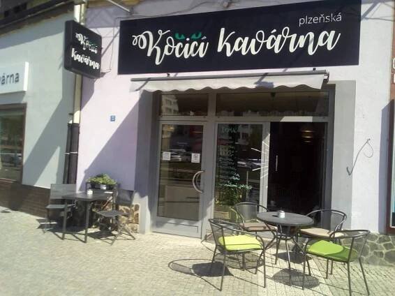 Mamma HELP – Kočičky pomáhají Mamma HELP