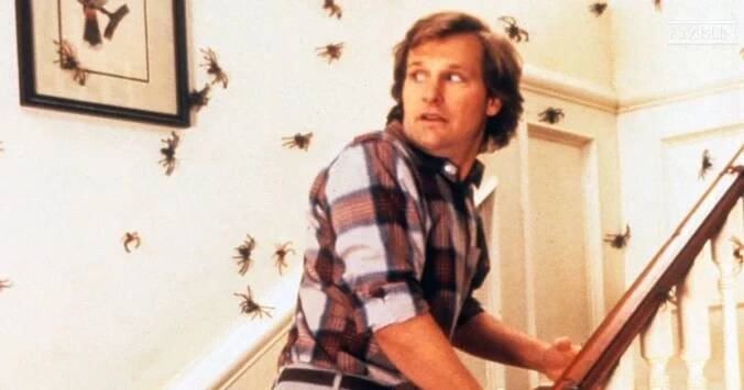 Trpíte arachnofobií? Těšte se, jeden z nejslavnějších hororů s pavouky se dočká remaku - NerdFix