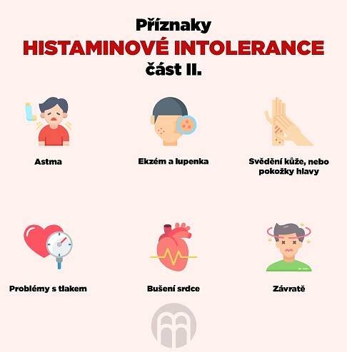 Histaminová intolerance | Výživová Therapie | Therapie | Daflex System ONLINE