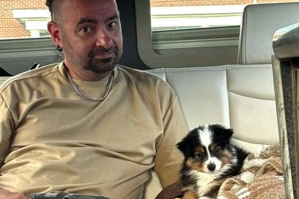 NSYNC Chris Kirkpatrick Names New Puppy Slim Shady 23 Years After Eminems Without Me Diss