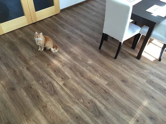 Od laminátu k vinylu - Dům Podlah Písek Jak vyměnit podlahu?