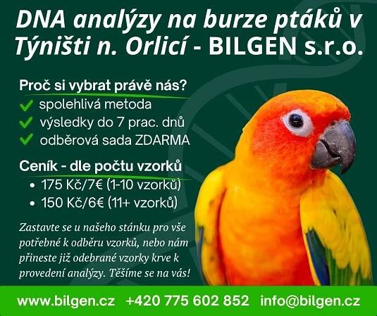 Určení pohlaví na burze v Týništi n. Orlicí - BILGEN s.r.o.