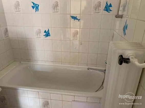 Pronájem bytu 2+1 bez realitky - foto 7