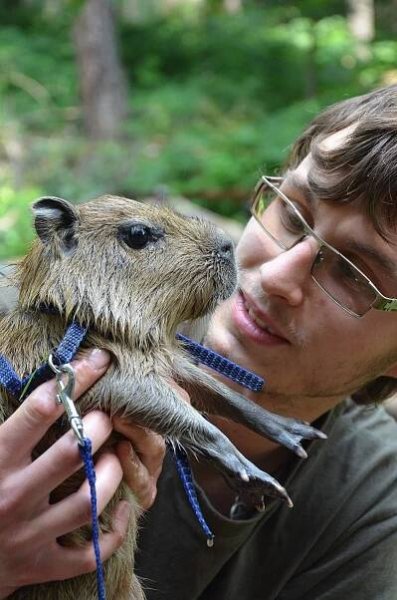 FOTO: Mláďata kapybar vodních mají velkou péči