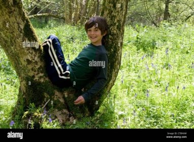 Portrait of a young boy sitting in a tree Stock Photo - Alamy
