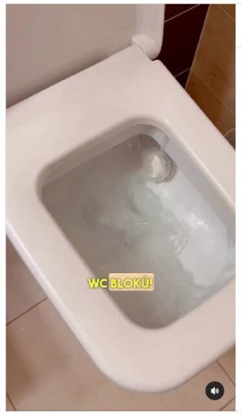 Úsporné domácí WC tablety ze 4 věcí vyčistí mísu natotata. Výrobu zvládne každý