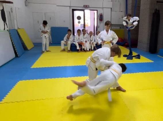 Judo Best Motion foto 5