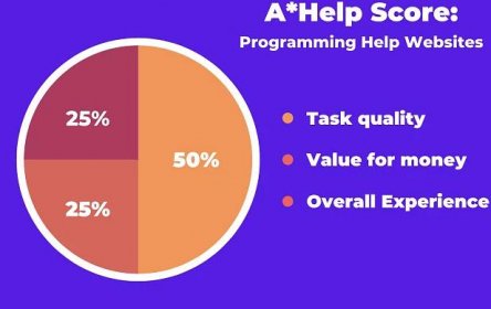 How We Test Programming Homework Help Websites