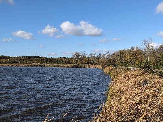 Saganashkee Slough