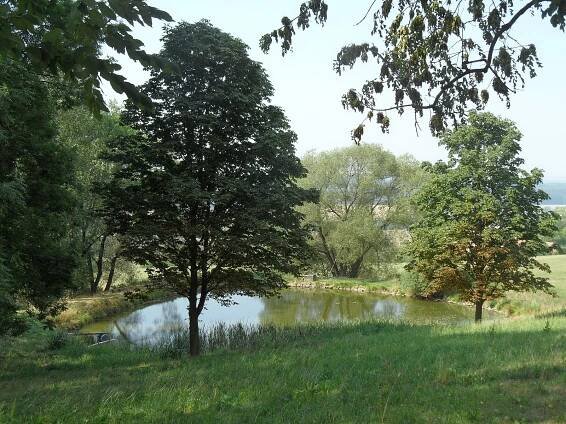 Soubor:Podhořice F. Rybníček.jpg