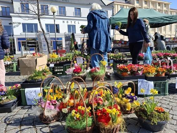 Na trhy i ve svátek. Zavedený režim prodeje na náměstí v Čáslavi se nemění
