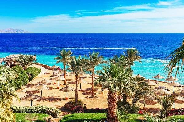 Egypt - Sharm El Sheikh - Dovolená 2025 - CK FISCHER