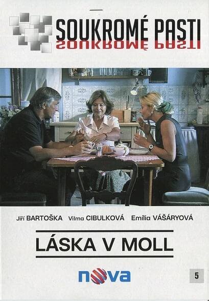 Soukromé pasti - Láska v moll (DVD) (papírový obal) | DVD-PREMIERY.CZ
