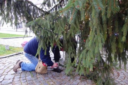 Náměstí již zdobí vánoční strom - Oficiální stránky města Klášterec nad Ohří