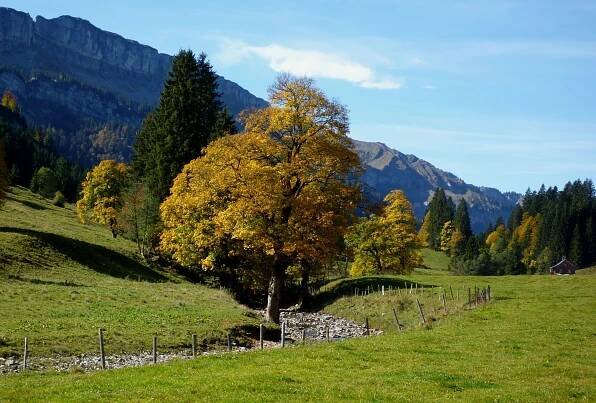 Liste der EU-Vogelschutzgebiete in Bayern – Wikipedia