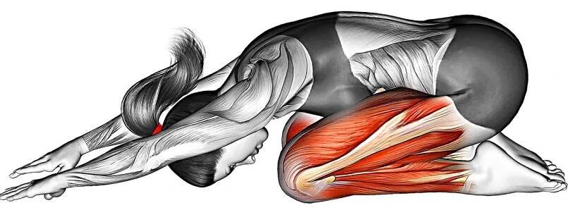 14 Perfect Morning Stretches