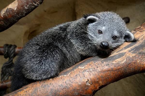 Fotosoutěž stále pokračuje! | Zoo Olomouc - Svatý Kopeček