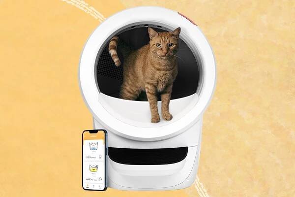 Which Automatic Litter Box Is Better: Litter-Robot 4 vs. Leo's Loo Too