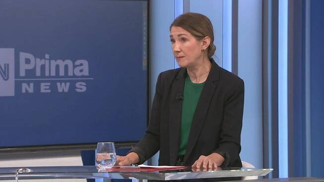 Spolupředsedkyně strany Zelených Gabriela Svárovská
