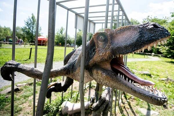 DinoPark Ostrava o víkendu otevře své brány. Zimní oblečení s sebou