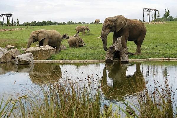 Zlínská zoo měla v červenci dobrou návštěvnost, podobně jako loni