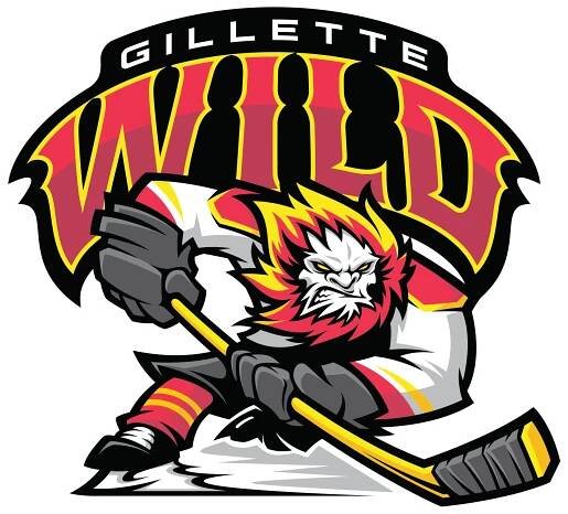 Wild Hockey – Basin Radio