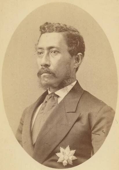Elections in Hawaiʻi | Lyman Museum
